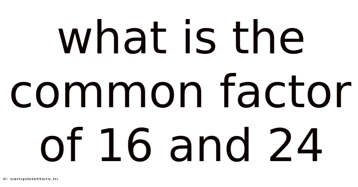 What Is The Common Factor Of 16 And 24