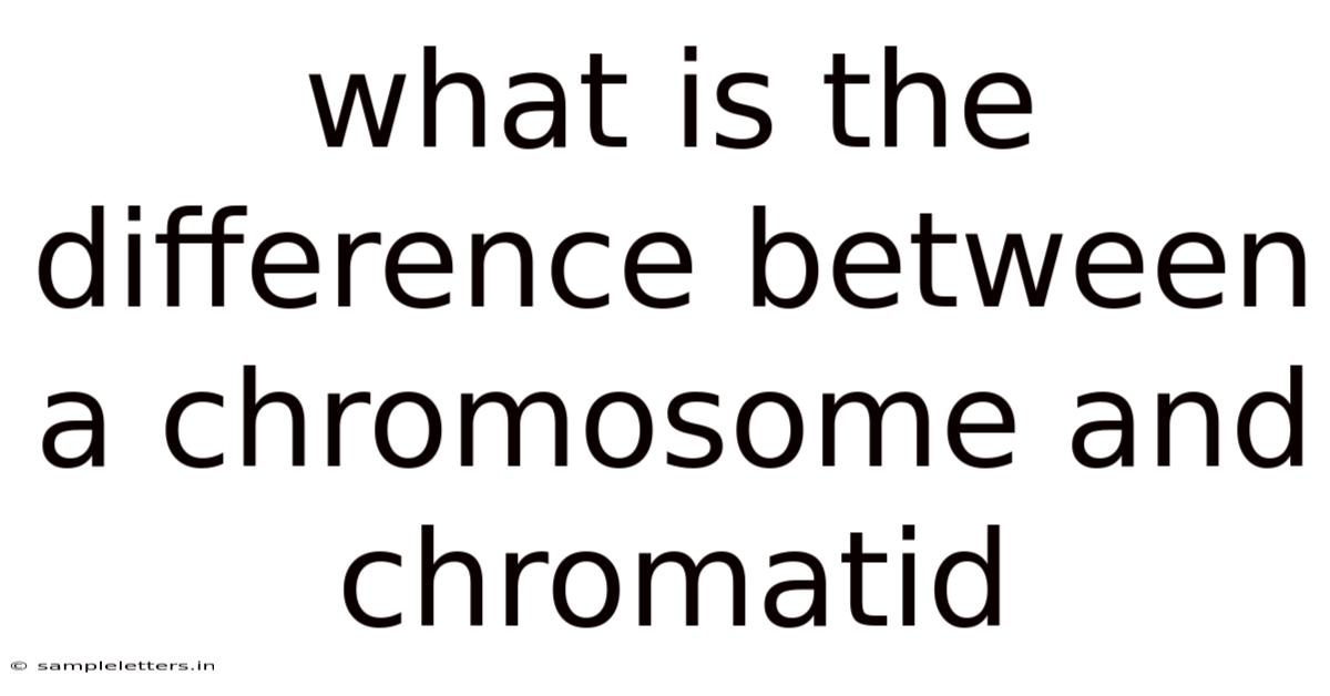 What Is The Difference Between A Chromosome And Chromatid