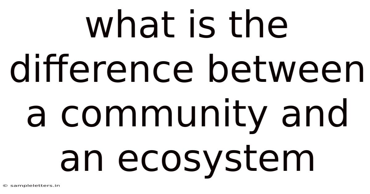 What Is The Difference Between A Community And An Ecosystem