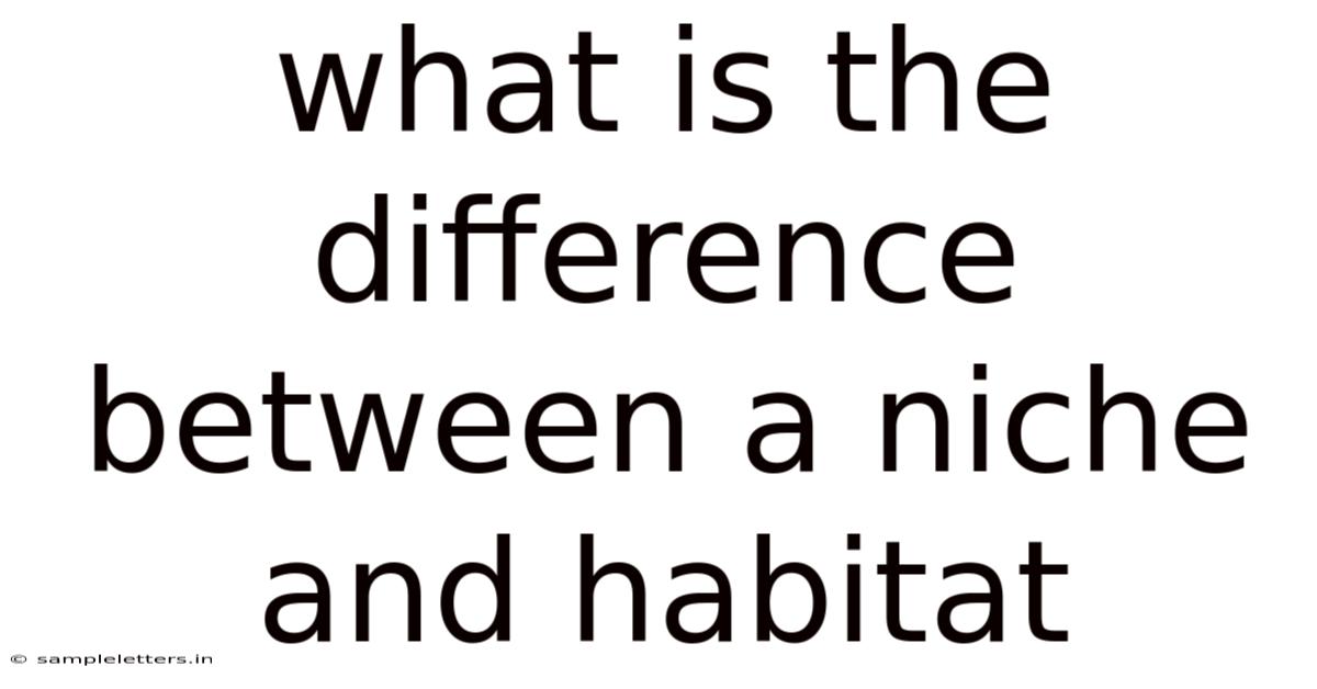 What Is The Difference Between A Niche And Habitat