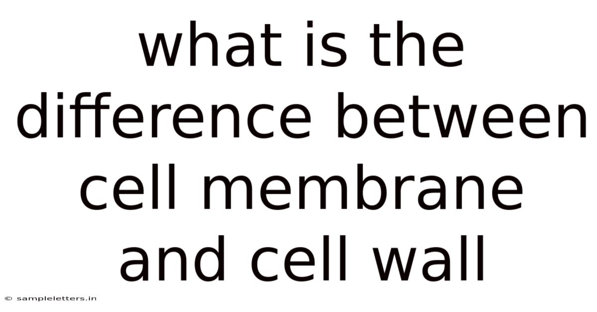 What Is The Difference Between Cell Membrane And Cell Wall