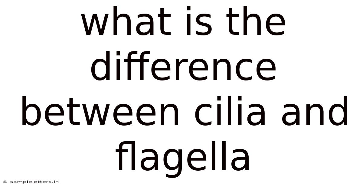 What Is The Difference Between Cilia And Flagella