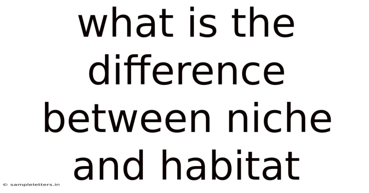 What Is The Difference Between Niche And Habitat