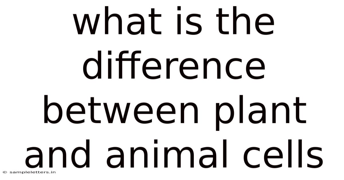What Is The Difference Between Plant And Animal Cells