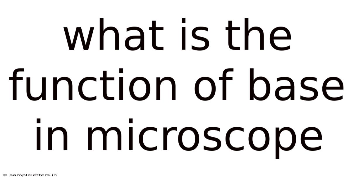 What Is The Function Of Base In Microscope