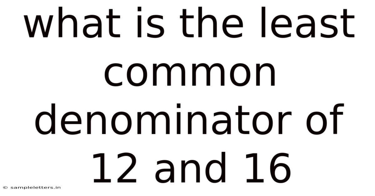 What Is The Least Common Denominator Of 12 And 16