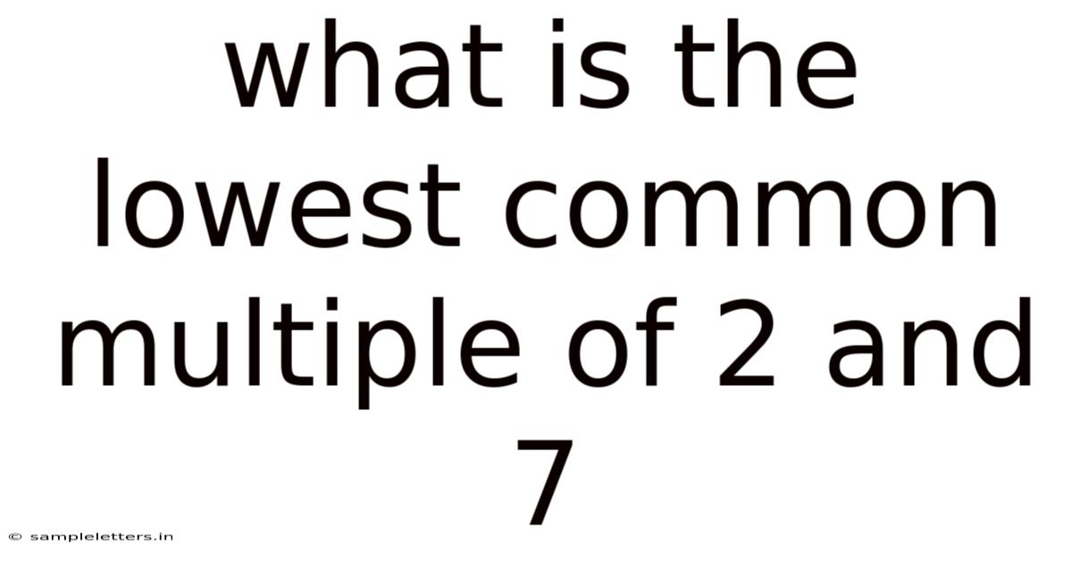 What Is The Lowest Common Multiple Of 2 And 7