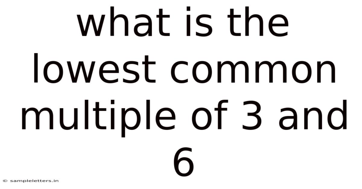 What Is The Lowest Common Multiple Of 3 And 6