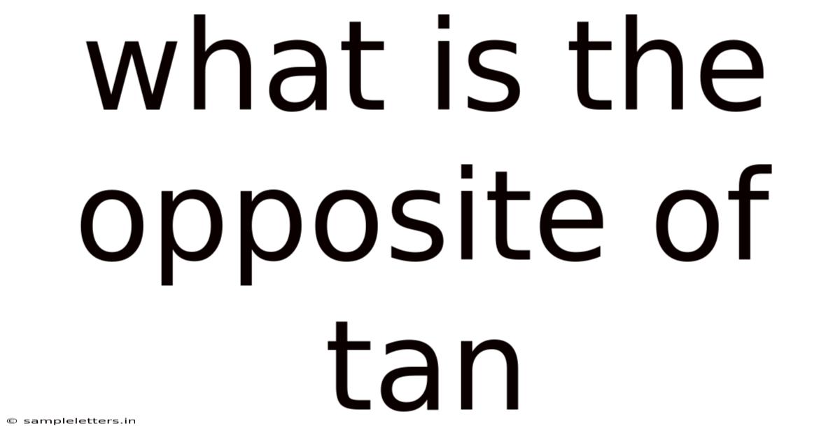 What Is The Opposite Of Tan