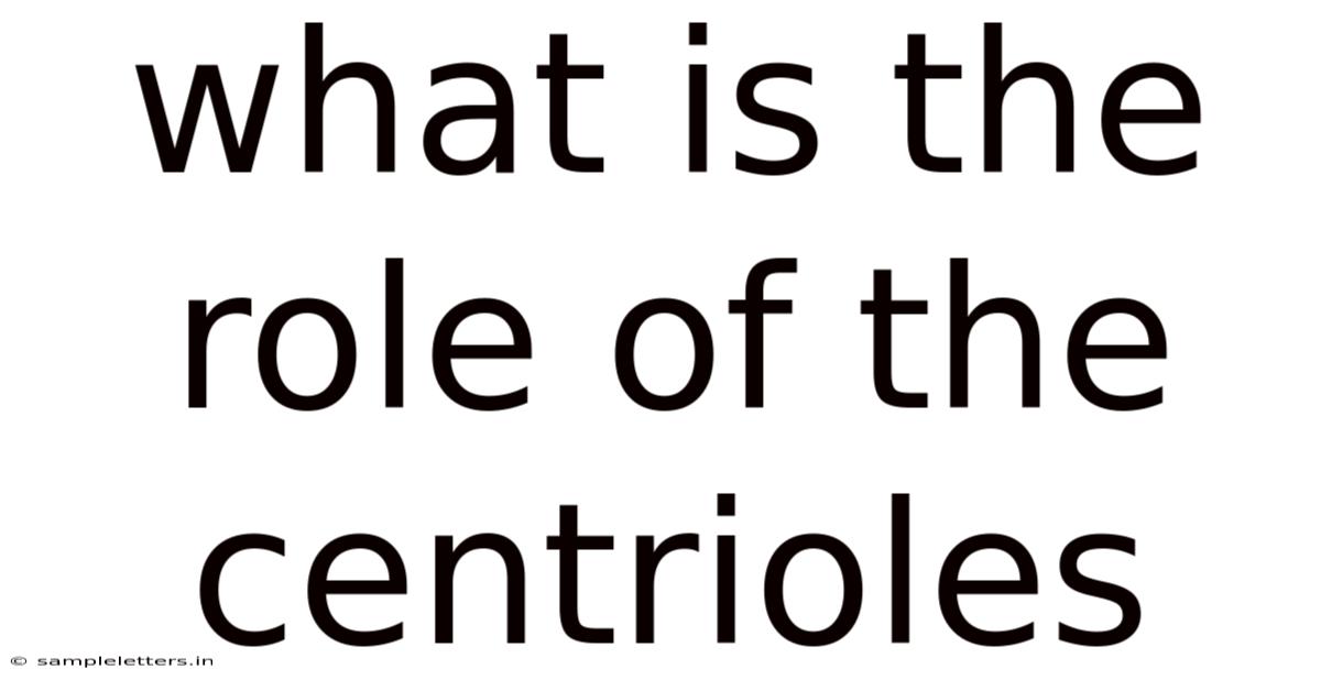 What Is The Role Of The Centrioles