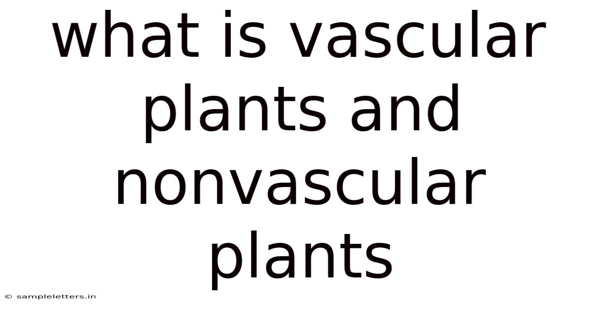 What Is Vascular Plants And Nonvascular Plants