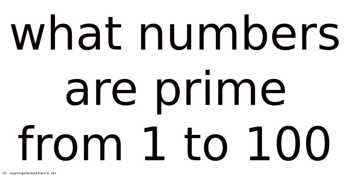 What Numbers Are Prime From 1 To 100