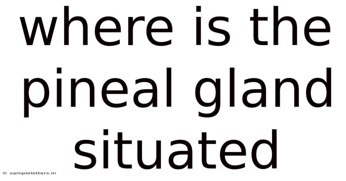 Where Is The Pineal Gland Situated