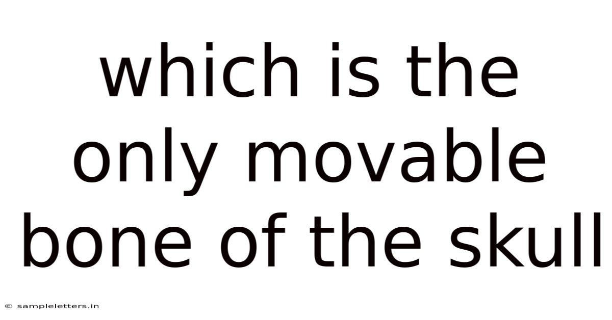 Which Is The Only Movable Bone Of The Skull