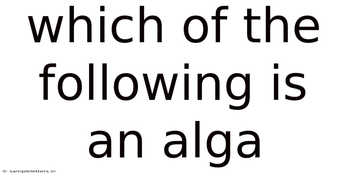 Which Of The Following Is An Alga